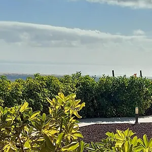 The Black Horse Canarias - Adults Only Casa rural